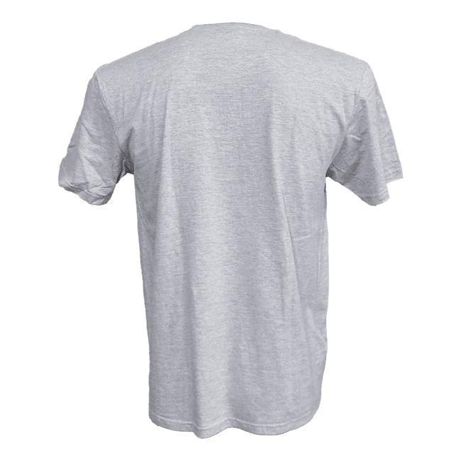 Back view of gray t-shirt.