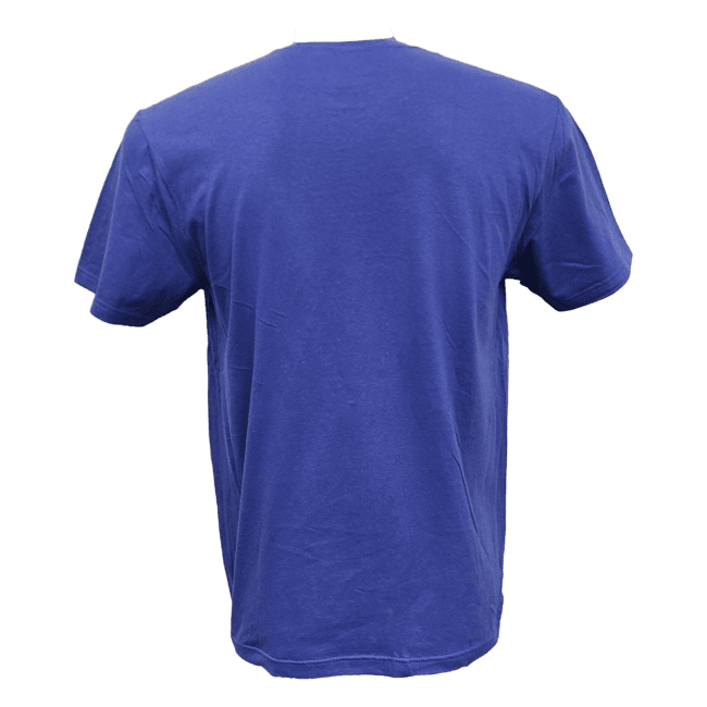 Back view of a blue t-shirt.